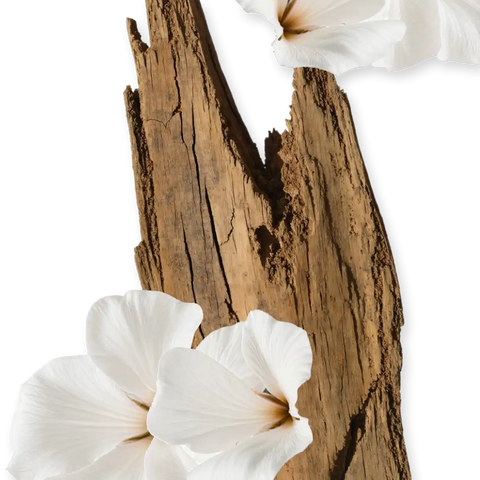 VALAYA BODY CREAM REFILL